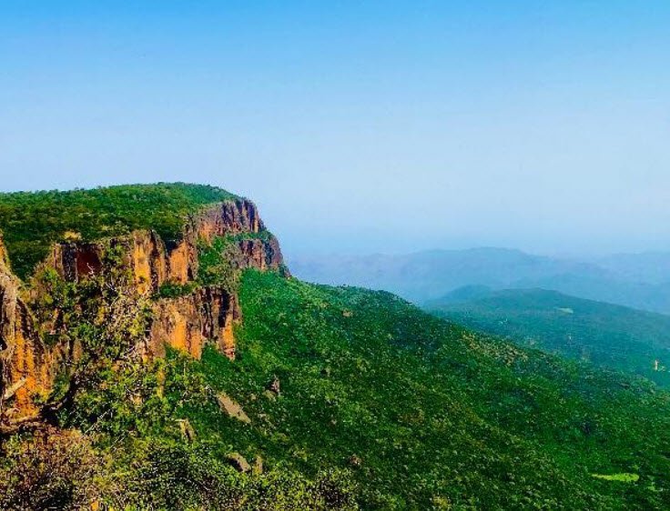 Daallo Forest, Sanaag Region (Somaliland), Somalia